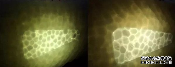 冰蓝椰子真假如何鉴定 冰蓝椰子真假鉴定方法 冰蓝椰子真假如何鉴定 冰蓝椰子真假鉴定方法